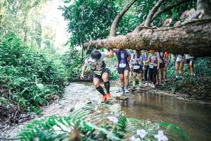 BIB: 
                            <button type="button" onclick="openModal(25468624)" class="btn btn-primary btn-sm float-right btn-popup" data-toggle="modal" data-target=".modal-high-quality">
                        <i class="fas fa-shopping-cart"></i> Add to Cart
                    </button>
                                            <button type="button" onclick="isThisMe(25468624, true)" class="btn btn-success btn-sm float-right btn-popup btn-isme hidden" data-toggle="tooltip" data-placement="bottom" title="นี่คือรูปของคุณใช่ไหม คลิกที่นี่เพื่อเอาเข้าอัลบั้ม">
                        <i class="fas fa-plus"></i> Add to album
                    </button>
                    <button type="button" onclick="isThisMe(25468624, false)" class="btn btn-warning btn-sm float-right btn-popup btn-isnotme hidden">
                        <i class="fas fa-ban"></i> Remove from album
                    </button>